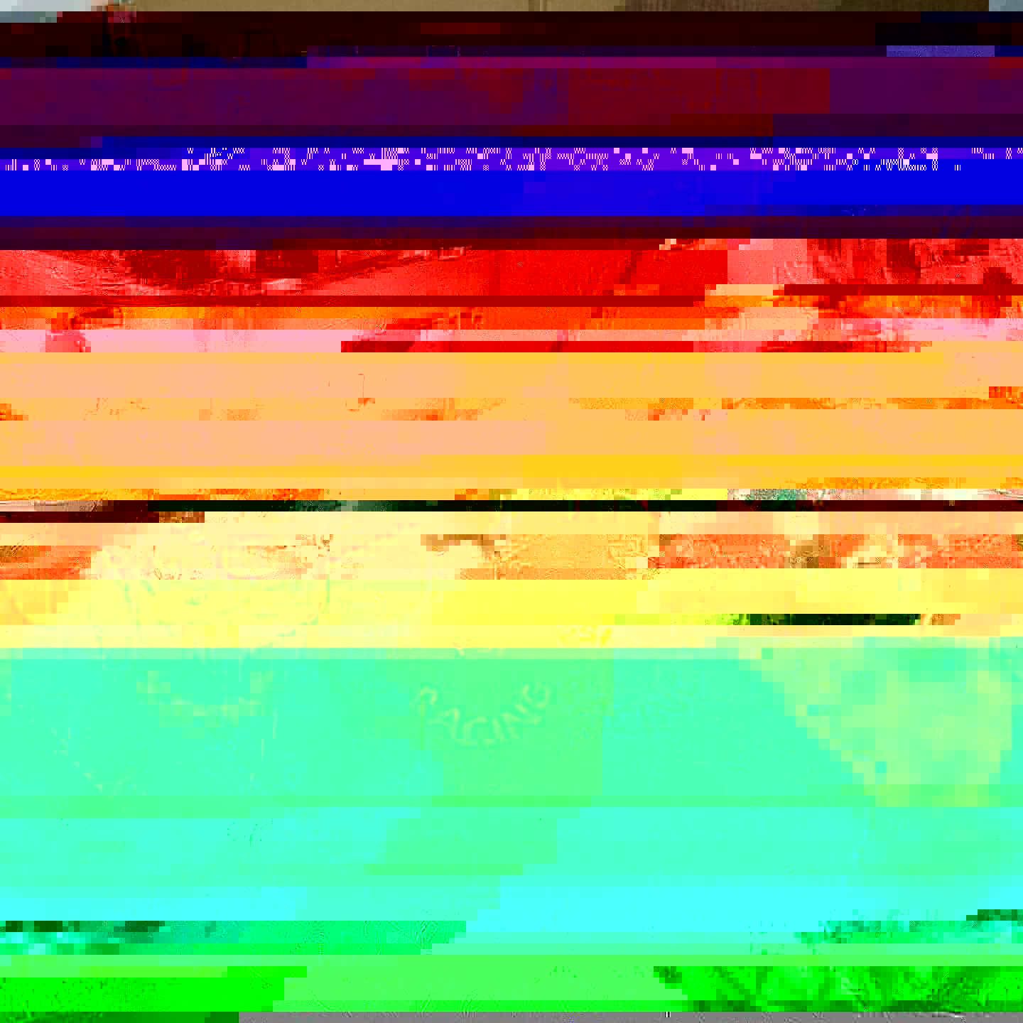 136684604_10159070632602700_1131710044652318525_n.jpg